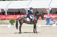 FEI European Championship