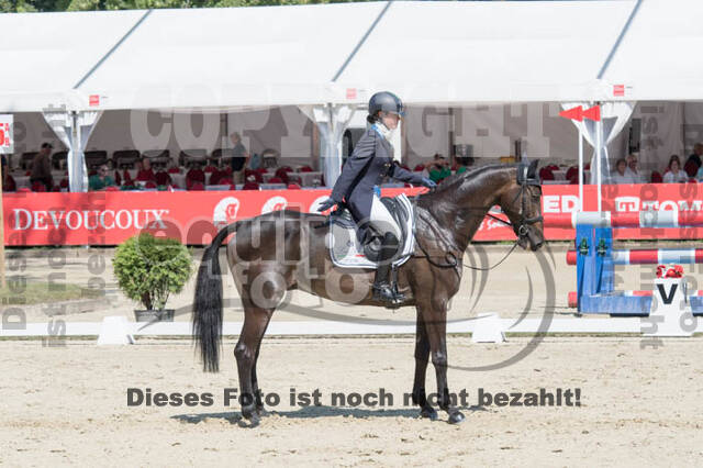 FEI European Championship
