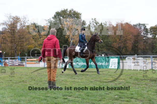 IGV Lehrgang der Sieger der Cups mit Frank Ostholt