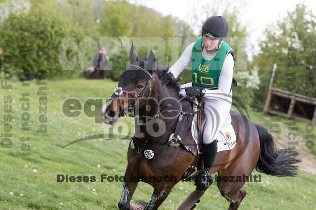 Sterne über Münster 2019 - CCI***S