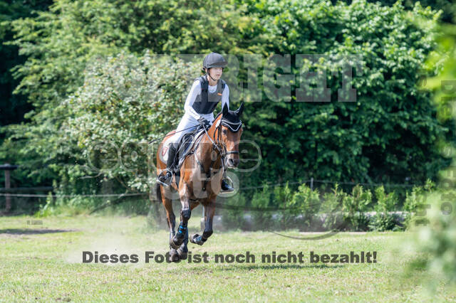 Goldene Schärpe 2021 - Ponys