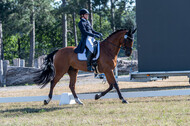 Kronenberg - De Peelbergen (August 2020)