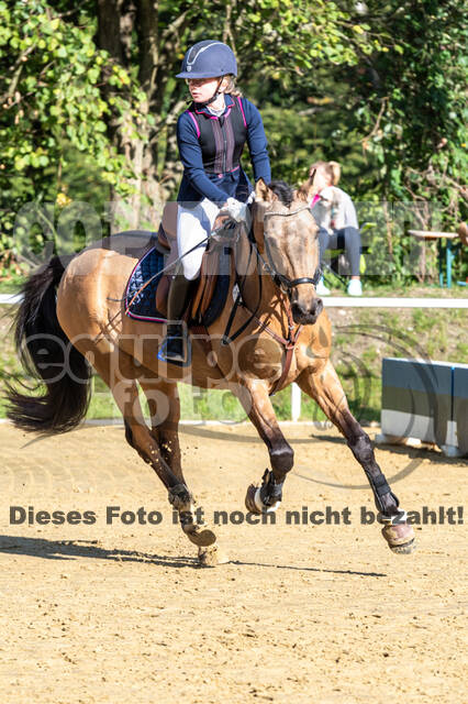 RFV Dinslaken-Hiesfeld (Herbstturnier)