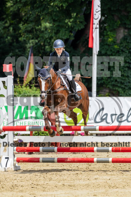 Goldene Schärpe 2021 - Ponys