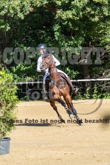 RFV Dinslaken-Hiesfeld (Herbstturnier)