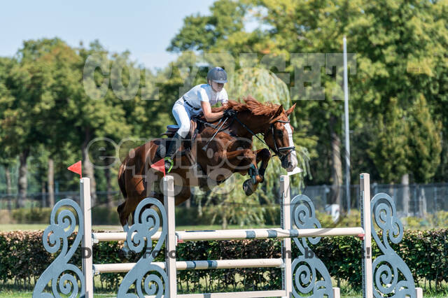 Kronenberg - De Peelbergen (August 2020)