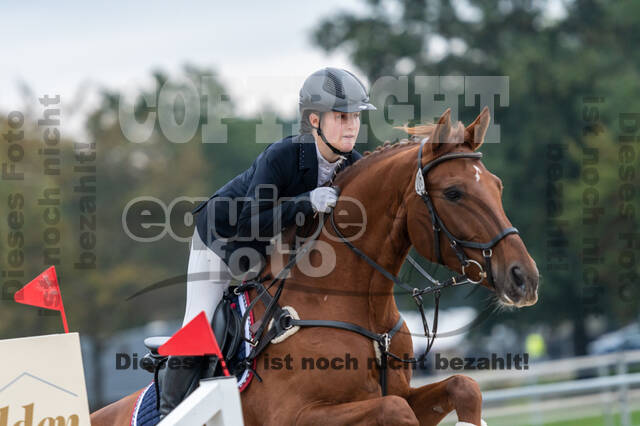 Goldene Schärpe 2020 - Pferde