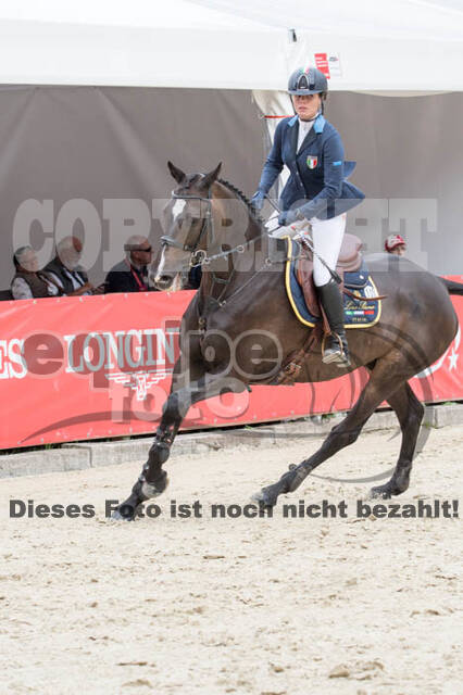 FEI European Championship