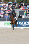 FEI European Championship Eventing 2019