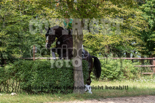 Late-Entry-Vielseitigkeit Gahlen (18.07.2020)