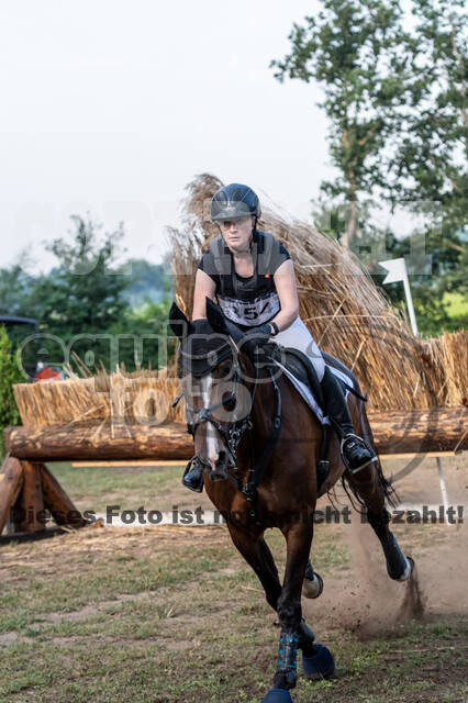 De Peelbergen (August 2020)