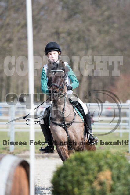 Eventing Langenfeld 2018