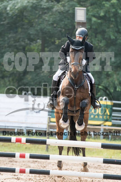 Vielseitigkeitsturnier Bad Honnef