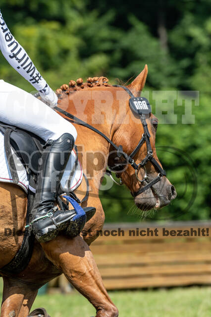 Goldene Schärpe 2021 - Ponys