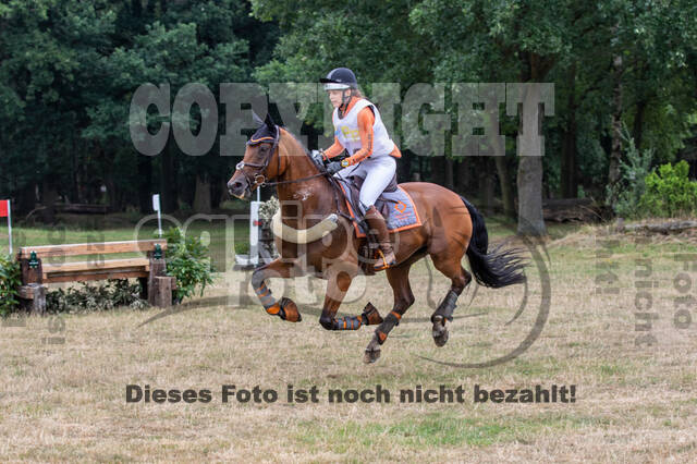 Late-Entry Vielseitigkeit Hamminkeln/Wesel (01.+02.08.2020)