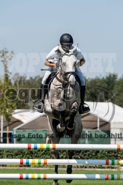 Kronenberg - De Peelbergen (August 2020)