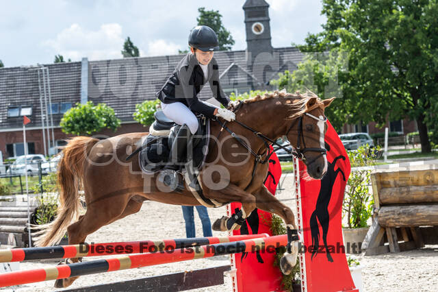 Late-Entry-Vielseitigkeit Langenfeld (06.+07.07.2020)