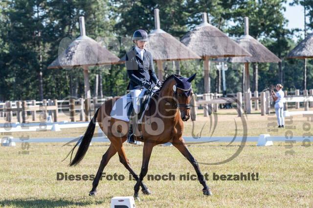 Kronenberg - De Peelbergen (August 2020)