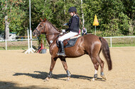 RFV Dinslaken-Hiesfeld (Herbstturnier)
