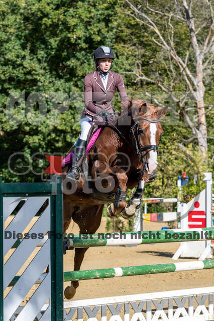 RFV Dinslaken-Hiesfeld (Herbstturnier)