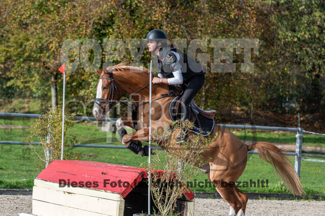 IGV Lehrgang der Sieger der Cups mit Frank Ostholt