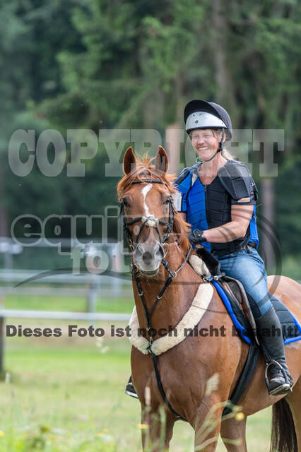 Hunter Geländetraining 10.07.2021 (Sonsbeck)