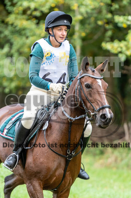 Vielseitigkeit RSV Wesel Obrighoven (26.+27.09.2020)