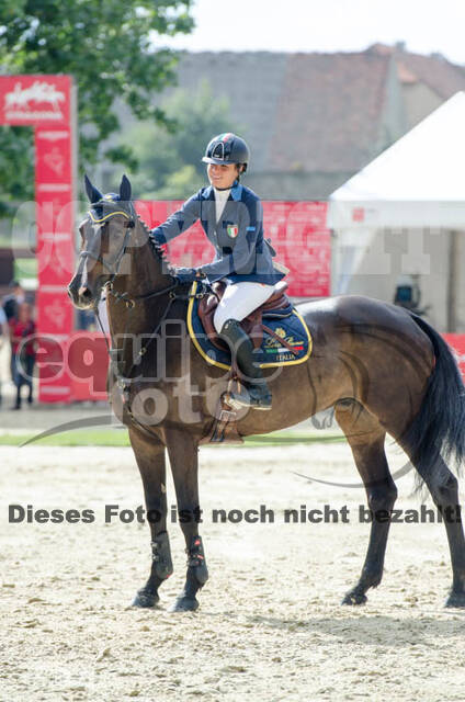 FEI European Championship