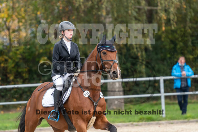 Goldene Schärpe 2020 - Pferde