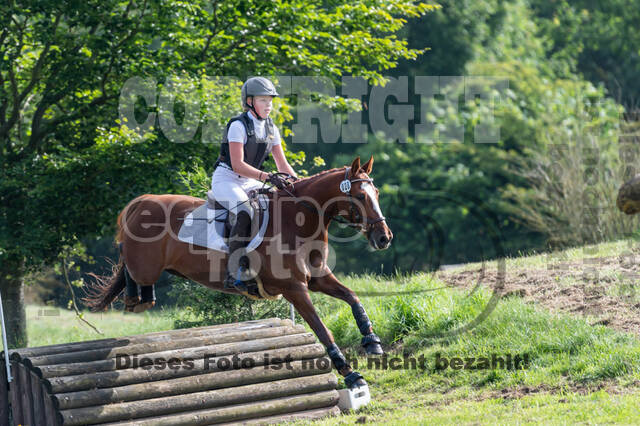 Goldene Schärpe 2021 - Ponys