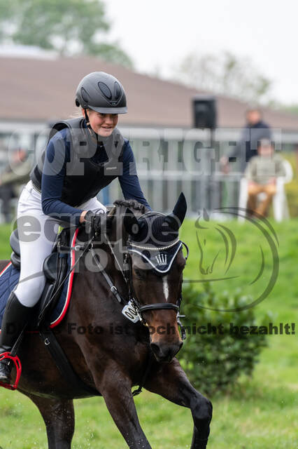 Goldene Schärpe 2020 - Pferde