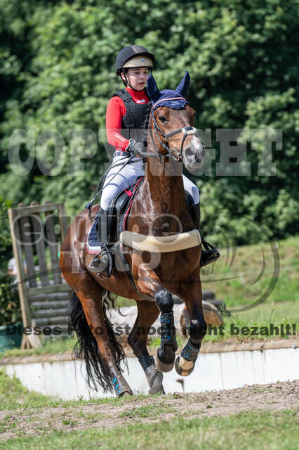 Goldene Schärpe 2021 - Ponys