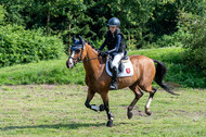 Goldene Schärpe 2021 - Ponys