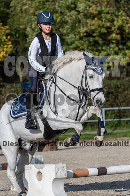 IGV Lehrgang der Sieger der Cups mit Frank Ostholt