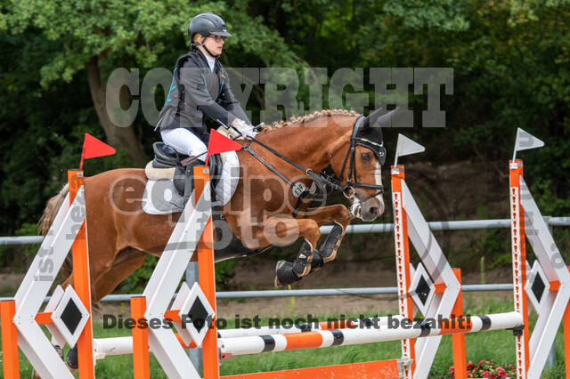 Late-Entry-Vielseitigkeit Langenfeld (06.+07.07.2020)