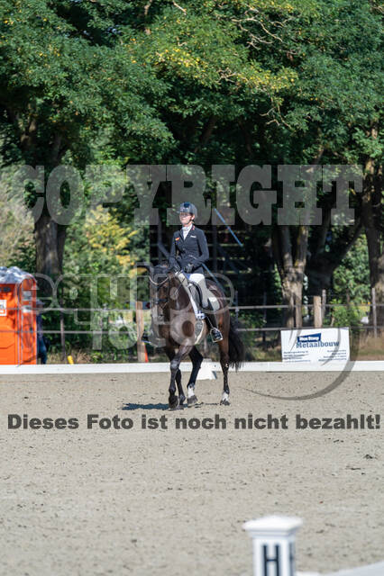 Kronenberg - De Peelbergen (August 2020)