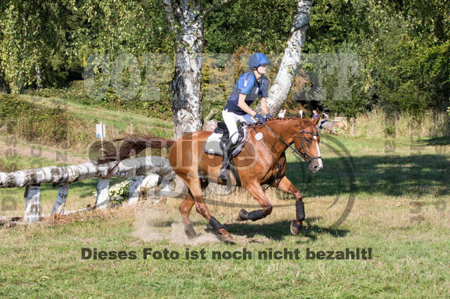 Vielseitigkeitsturnier RSV St. Hubertus Wesel Obrighoven