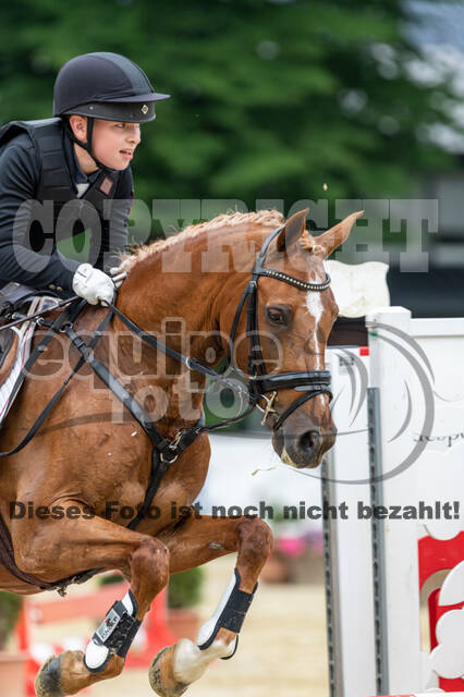 Goldene Schärpe 2021 - Ponys