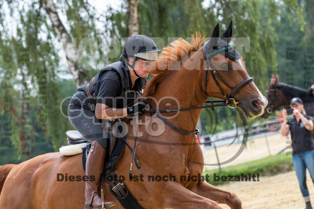 Hunter Geländetraining 10.07.2021 (Sonsbeck)