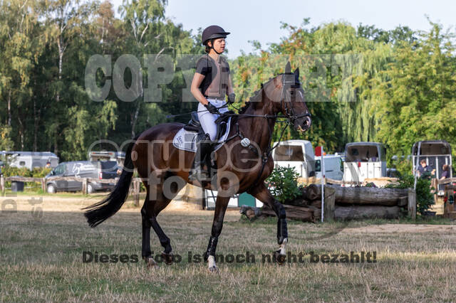 Late-Entry Vielseitigkeit Hamminkeln/Wesel (01.+02.08.2020)