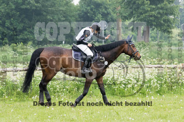 Vielseitigkeitsturnier ZRFV von Lützow Hamminkeln