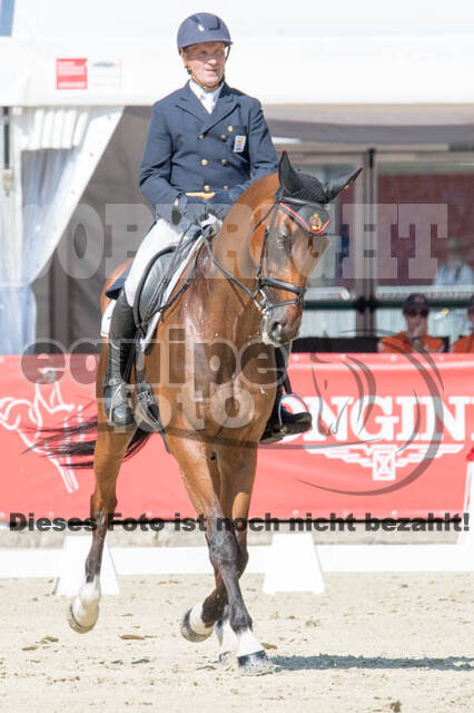 FEI European Championship Eventing 2017