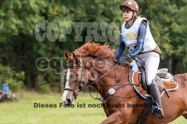 Vielseitigkeit RSV Wesel Obrighoven (26.+27.09.2020)