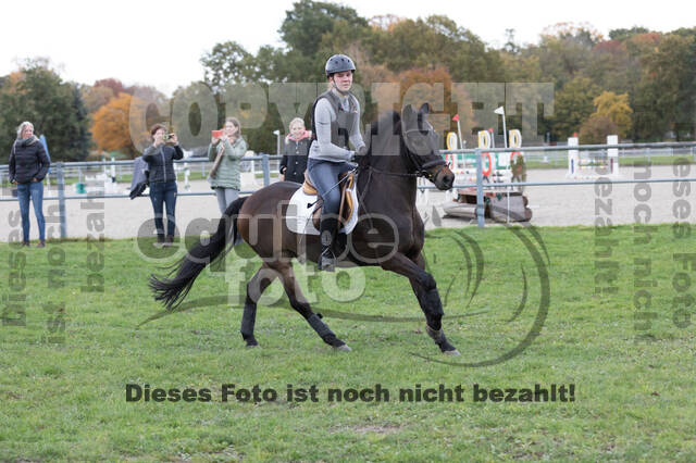 IGV Lehrgang der Sieger der Cups mit Frank Ostholt