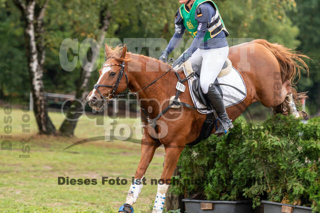 Vielseitigkeit RSV Wesel Obrighoven (26.+27.09.2020)