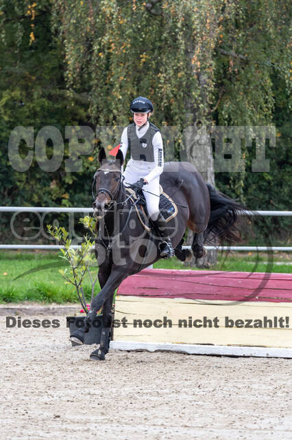 Goldene Schärpe 2020 - Pferde