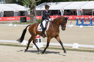 FEI European Championship Eventing 2017
