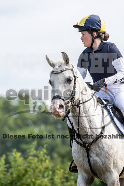 Goldene Schärpe 2021 - Ponys