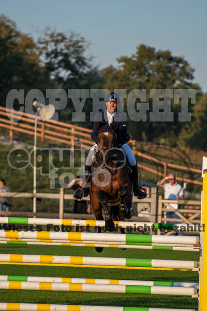 De Peelbergen (August 2020)