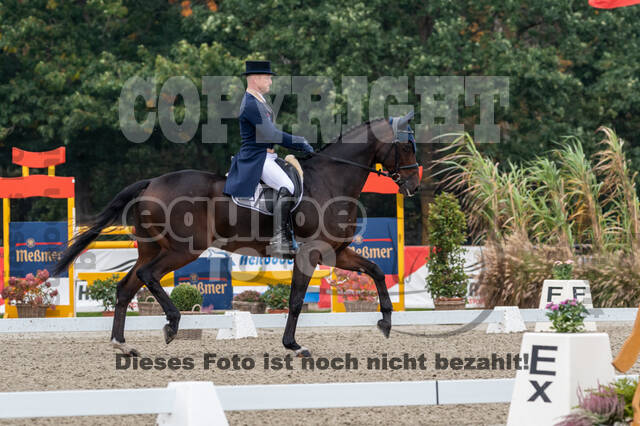 Deutsche Meisterschaft Vielseitigkeit (Luhmühlen)